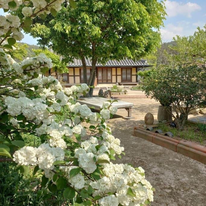 Yasun Gallery 경주 외부 사진